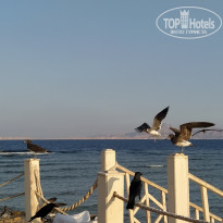 фото из отзыва ID 2678480