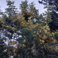 фото из отзыва ID 2678487