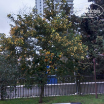 фото из отзыва ID 2678487