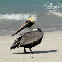 фото из отзыва ID 2678498