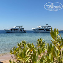 фото из отзыва ID 2678511