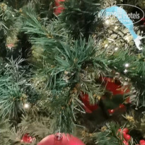 фото из отзыва ID 2678544