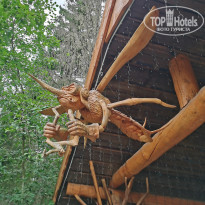 фото из отзыва ID 2678549