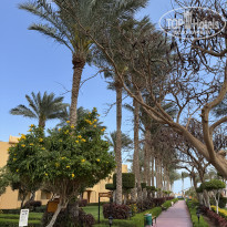 фото из отзыва ID 2678598