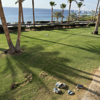 фото из отзыва ID 2678612