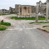 фото из отзыва ID 2678626