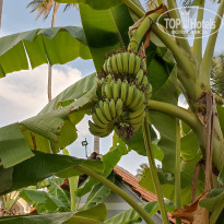 фото из отзыва ID 2678573