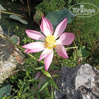 фото из отзыва ID 2678573