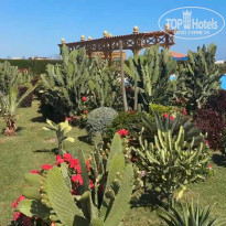 фото из отзыва ID 2675880