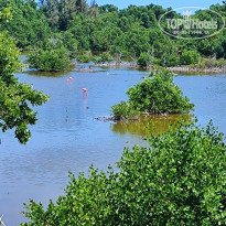 фото из отзыва ID 2677994