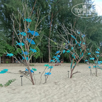 фото из отзыва ID 2678718