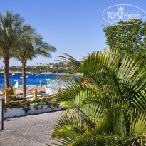 фото из отзыва ID 2678781