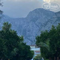 фото из отзыва ID 2678814