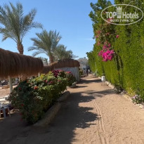 фото из отзыва ID 2676300