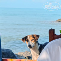 фото из отзыва ID 2678877