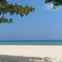 фото из отзыва ID 2678946