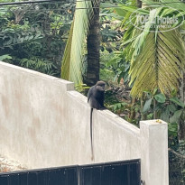 фото из отзыва ID 2678955