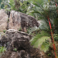 фото из отзыва ID 2678955