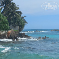 фото из отзыва ID 2678968