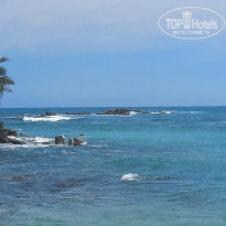 фото из отзыва ID 2678968