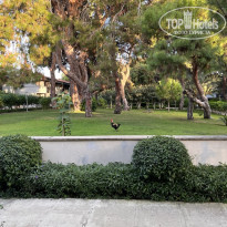 фото из отзыва ID 2678977