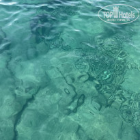 фото из отзыва ID 2678977