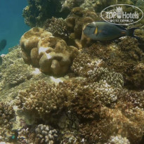 фото из отзыва ID 2678976