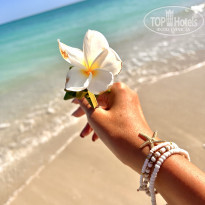 фото из отзыва ID 2679005