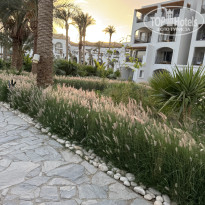 фото из отзыва ID 2679018