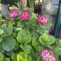 фото из отзыва ID 2678991
