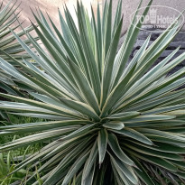 фото из отзыва ID 2679061