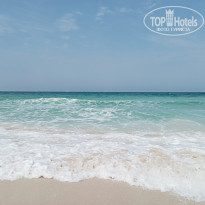 фото из отзыва ID 2679061