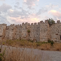 фото из отзыва ID 2679082