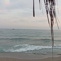 фото из отзыва ID 2679082