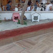 фото из отзыва ID 2679082