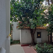 фото из отзыва ID 2679082