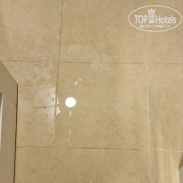 фото из отзыва ID 2679116