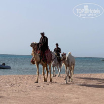 фото из отзыва ID 2679169