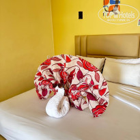 фото из отзыва ID 2679169