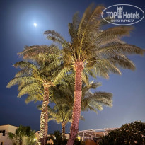 фото из отзыва ID 2679169