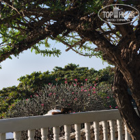 фото из отзыва ID 2679168