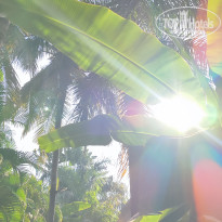 фото из отзыва ID 2679174