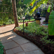 фото из отзыва ID 2679174