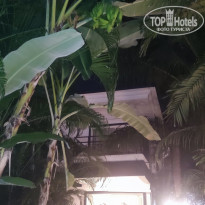 фото из отзыва ID 2679174