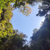 фото из отзыва ID 2679179