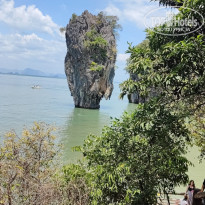 фото из отзыва ID 2679179