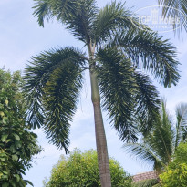 фото из отзыва ID 2679179