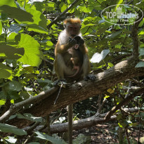 фото из отзыва ID 2679181