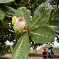 фото из отзыва ID 2679181