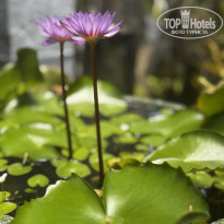 фото из отзыва ID 2679181